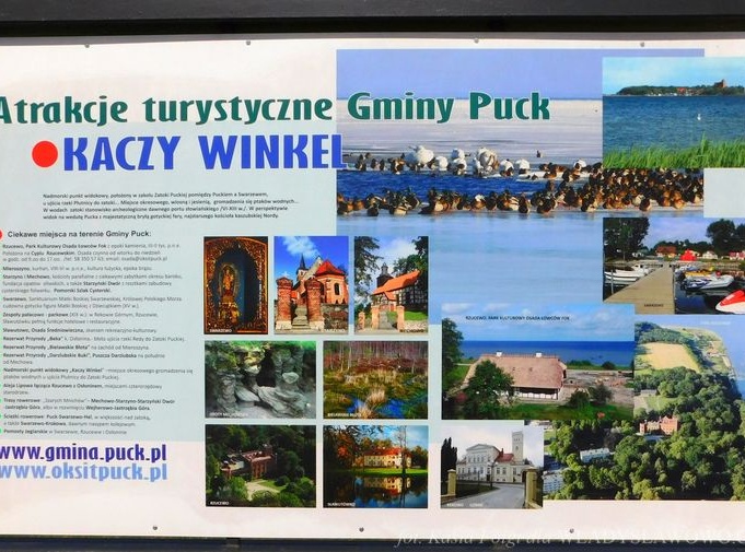 Kaczy Winkiel 