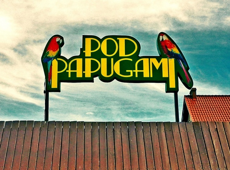 Pod Papugami 